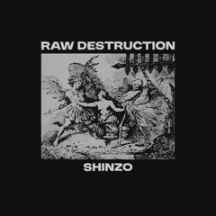 RAW DESTRUCTION [RAW DRUMKIT IN DESCRIPTION]