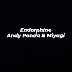 Andy Panda & Miyagi - Endorphine (Zintner Remix)