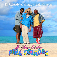 If You Like Pina Coladas (feat. Rayvon)