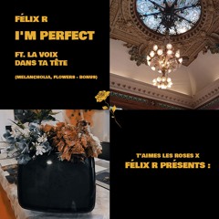 Félix R - I'm Perfect (ft. la voix dans ta tête) - (Melancholia, Flowers - Bonus)