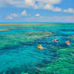 Review Special Price Key West Snorkeling With Breakfast And Unlimited Mimosas