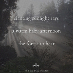slanting sunlight rays Naviarhaiku 592 )