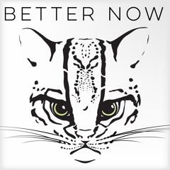 Better Now (House Remix)