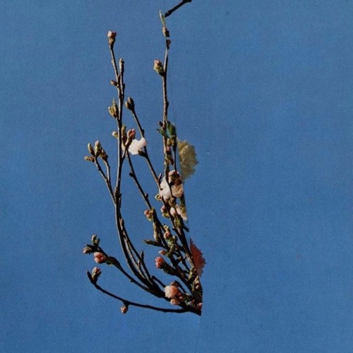 Mixed Signals w/ Bethan & TSUNIMAN - December 2021