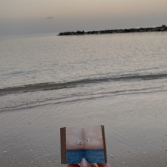 أهلاً بِنا في ديارِنا - لُجين