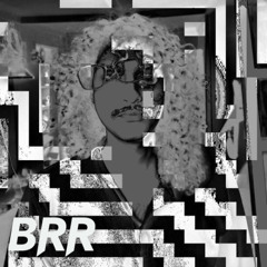 BRR #19 - bbmp naayi