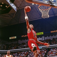 Scottie Pippen (birdbusiness)