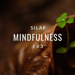 Mindfulness Episode 163