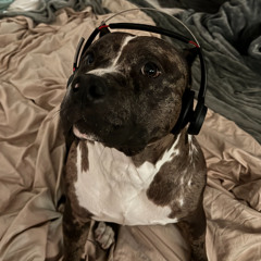 BIGx - BACC2THABASICS (SLOWED)