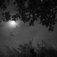 beauty In the dark