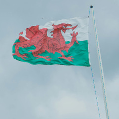 Newyddion Cymraeg (Welsh Newscast)