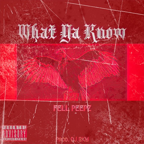 FellPeepz ~ What Ya Know (Prod By Kool DJ RKM)