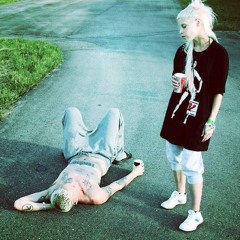 DIE ANTWOORD