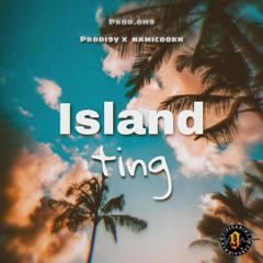 Island ting- Prodi9y x Namicookn