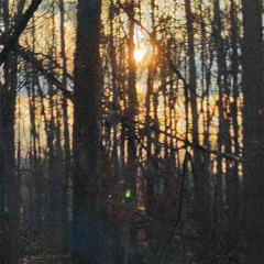 Eclipse (Prod. VEINSMADEIT)