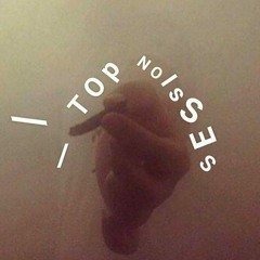Top Noisses - Bud Vibes Ft. Rob D Goat, Dopeskillz & Nil Soles