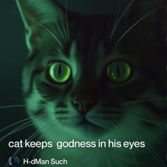 ...in cats  eyes.