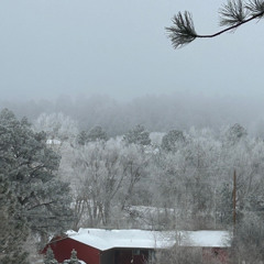 White as Snow