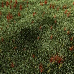 worlds without things