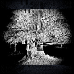 Echoes (Travis Scott Type Beat)