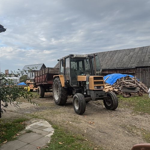 cypis czy leci z nami pilot ale to vixa