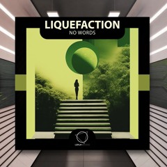 Liquefaction - Future [Lizplay Records] PREMIERE