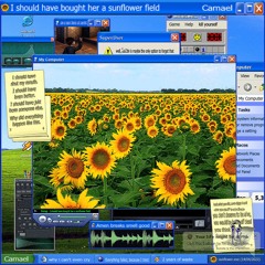 I Should Have Buy Her A Sunflower Field.