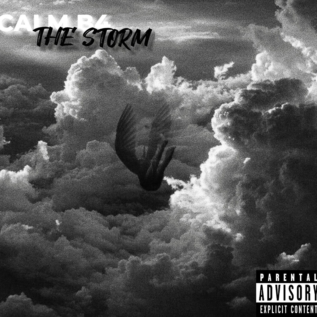 Stream Svnity | Listen to Calm B4 The Storm playlist online for free on ...