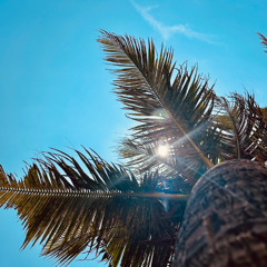 Damien Unbroken- Paradise Cove Mix- March '25