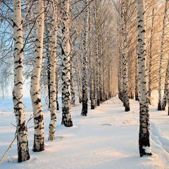 Белая Береза Под Моим Окном