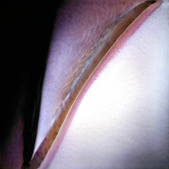 De La Nada Sale Todo