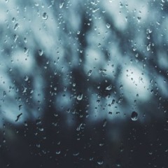 Paul Thompson - April Showers