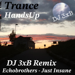 Echobrothers - Just Insane (DJ 3xB Remix)