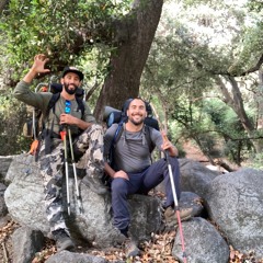 Light Bear Story_mixdown