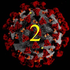 Quarantunes 2