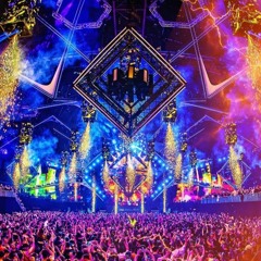 Trip To Reverze 2025