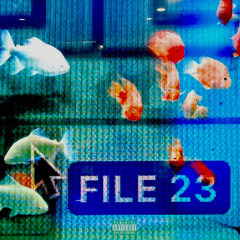 .file_23