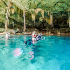 Best Cenote Diving And Snorkeling Experiences Prices Reviews
