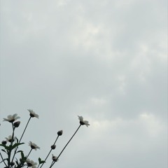 The Overcast