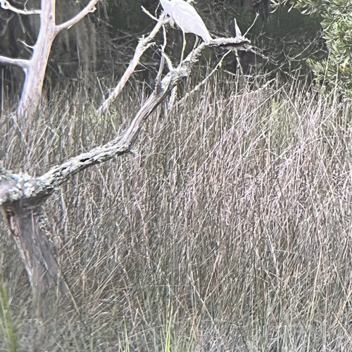 CyberKnetic ⚡💋🫂✌️