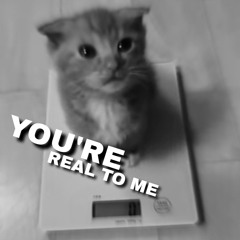 YOU'RE REAL TO ME x MASS OF THE FERMENTING DREGS — 青い、濃い、橙色の日