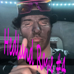 Hedlund Rave #4
