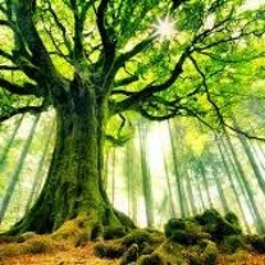 Back In Dis Bitch Part Two