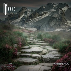 MitiS - Try feat. RØRY (Krushendo Rekrush)