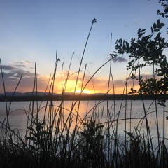 Complicated (Prod. by Savis)