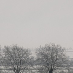 The Craving Cover - Twenty One Pilots