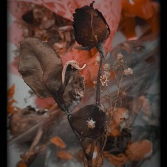 La Vie En Rose - Édith Piaf (English Version)