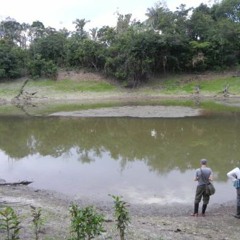 Lago Mamori, Careiro, Amazonas, BRAZIL