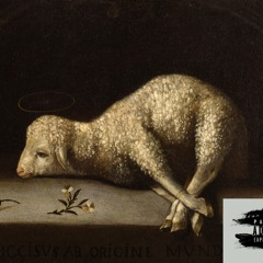 Rich Traccer - sacrificial lamb/sippin T