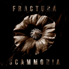 Fractura - Scammonia [EP] [2025]
